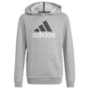 ADIDAS Kid's BL 2 Hoodie - Hoodie -Outdoor Bekleidungs Laden adidas kids bl 2 hoodie hoodie