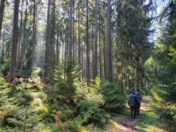 FJÄLLRÄVEN Kajka 75 - Trekkingrucksack -Outdoor Bekleidungs Laden fjaellraeven kajka 75 trekkingrucksack 1c507515565e368a5f36dee585efcd24 1