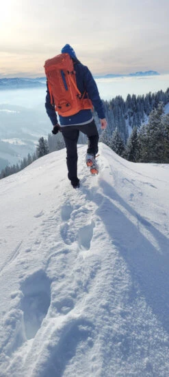 Ortovox Peak 35 - Tourenrucksack -Outdoor Bekleidungs Laden ortovox peak 35 tourenrucksack 479eeaaef0ad34f8d4b20e458b7c94a1 1